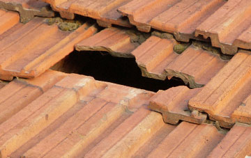 roof repair Carterway Heads, Northumberland